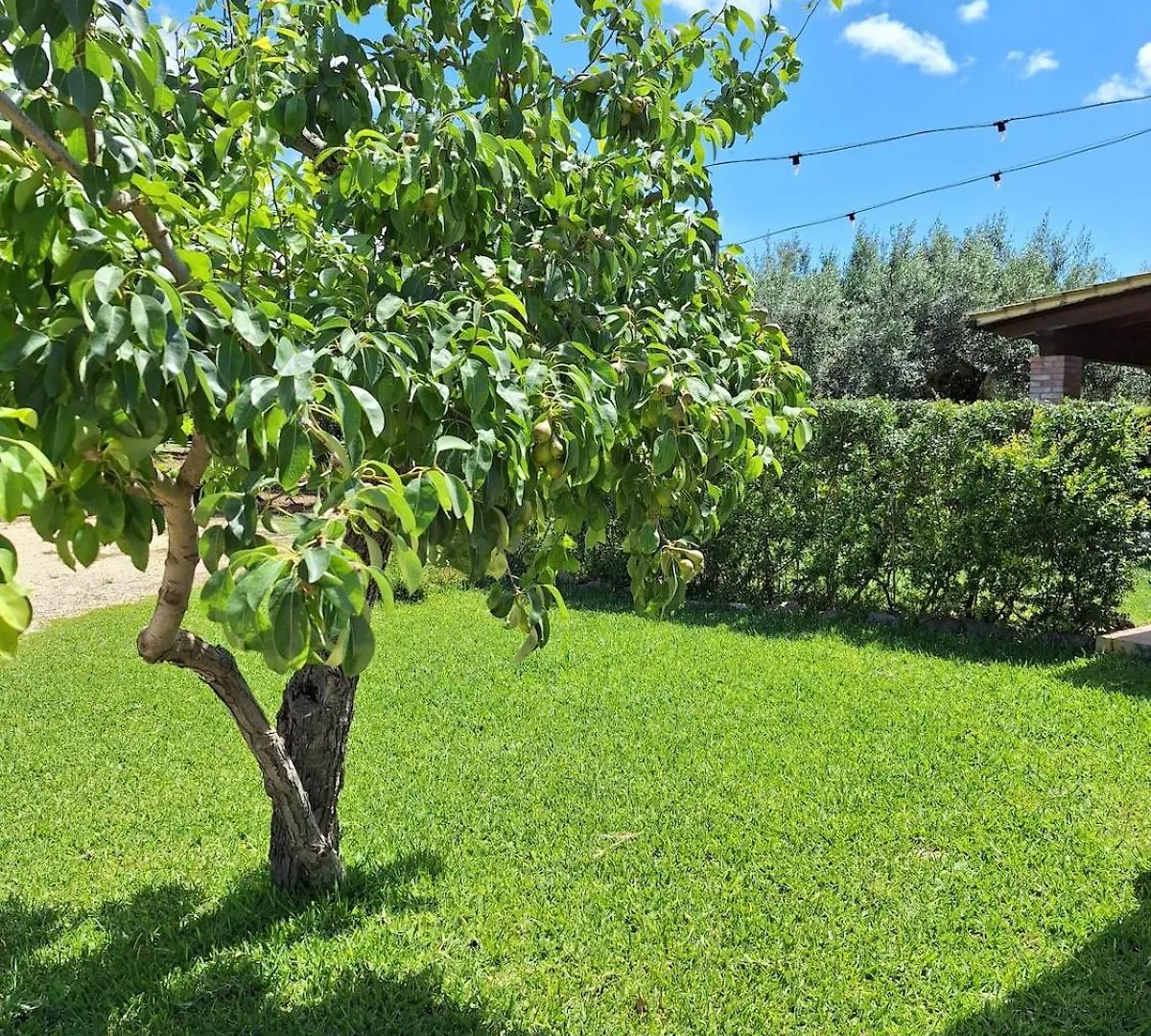 Casa Le Antiche Macine Bilocale Immerso Fra Gli Ulivi Sciacca Semesterbostad